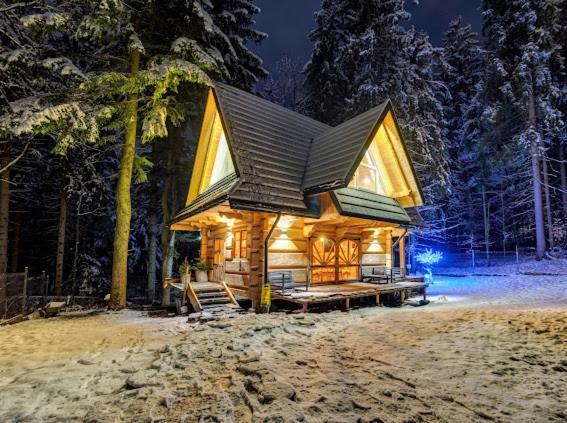 Chata Pod Nosalem - Domek Z Jacuzzi Z Bala W Zakopanym Zakopane Kültér fotó